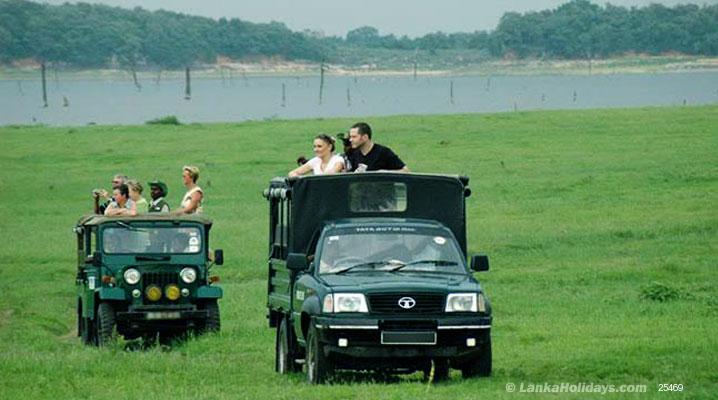 Safari @ National Park
